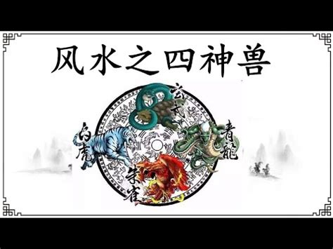 四聖獸 方位|詳細解讀為什麼青龍白虎朱雀玄武，代表東南西北四個。